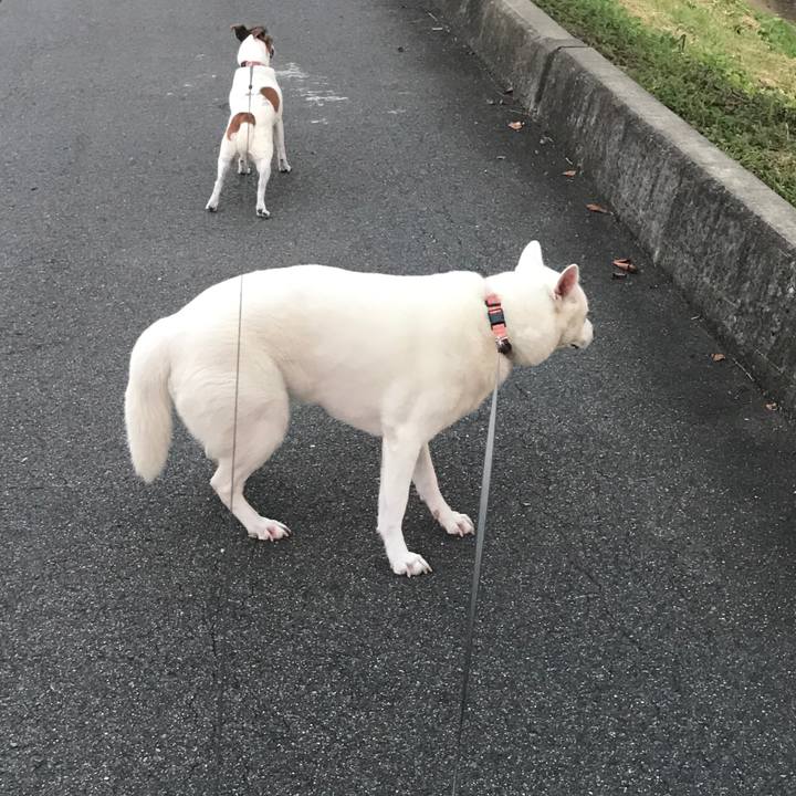 49c7a27f e567 40ca 80c6 079f0f67f760