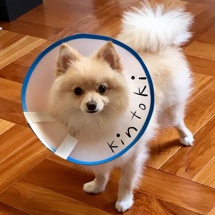 49c7fc05 cb8f 47e3 ba1b 937b06b9bc7e