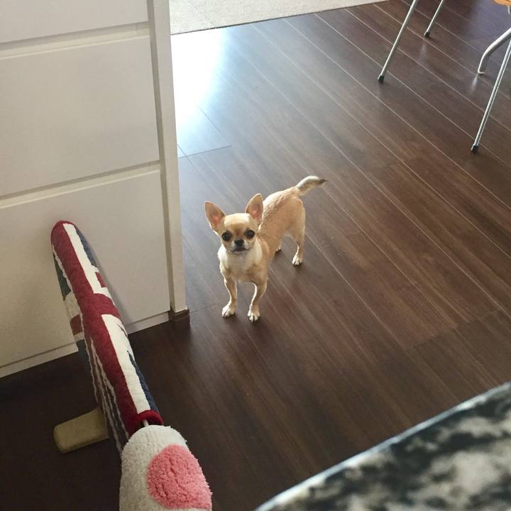 49c804c3 303d 4e1b ae6e af146b3306db