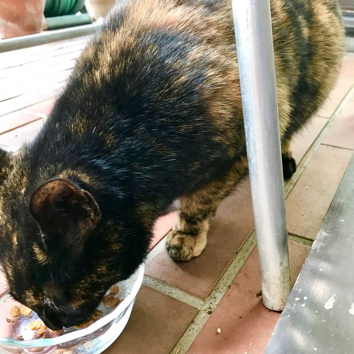 49c868d5 2014 45de b03d 0bba9acf524e