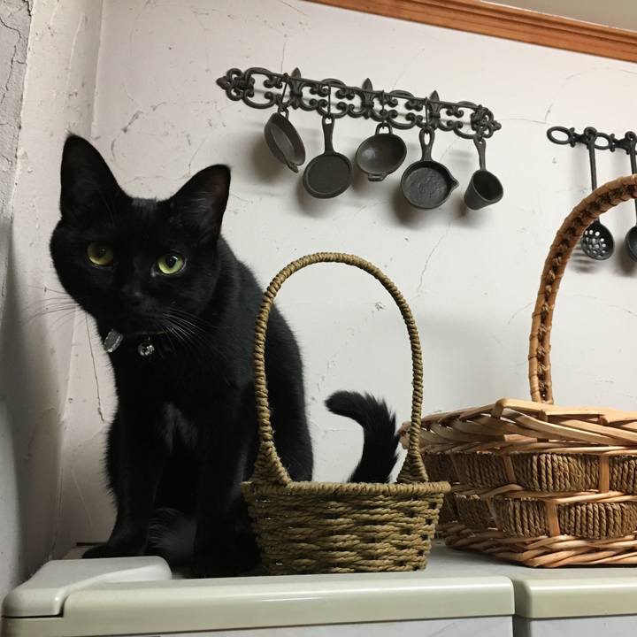 49c88095 9d63 476f bd47 49d845e3aa6e