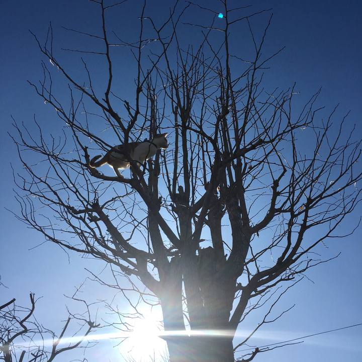 49c908e9 29cd 43a4 b7b2 00980c9b577a