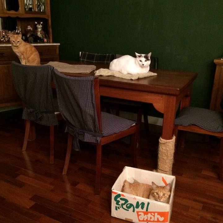 49c97f41 042f 4491 86a0 bf9abf0e4f8a