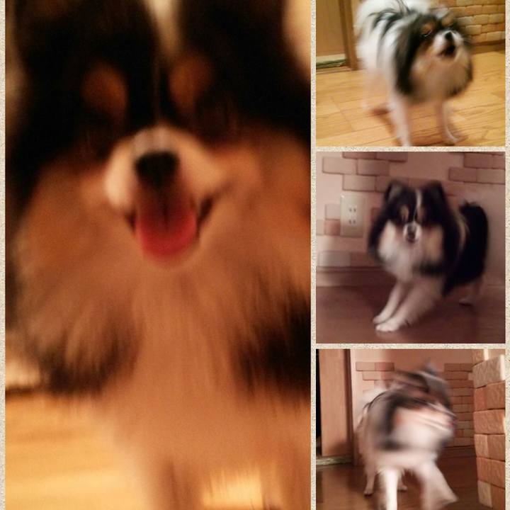 49c9c1a4 c864 46b2 8dd2 5f8abe2cf46f