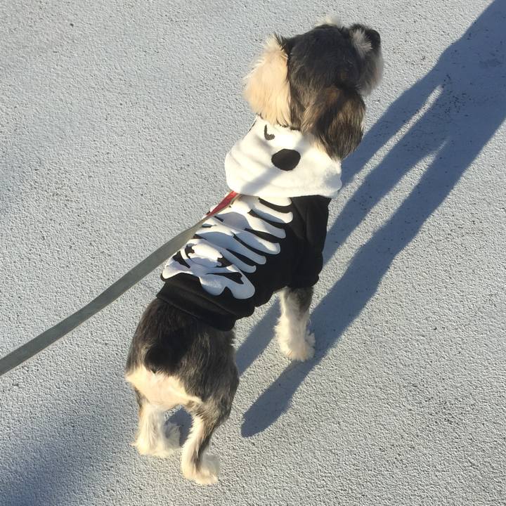 49c9e82d 03ca 42ed a992 4c8c95d5c2e2