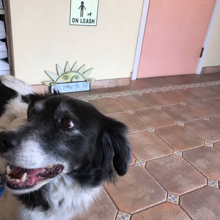 49ca3a5d 452d 450c 9c92 39f5b99979ec