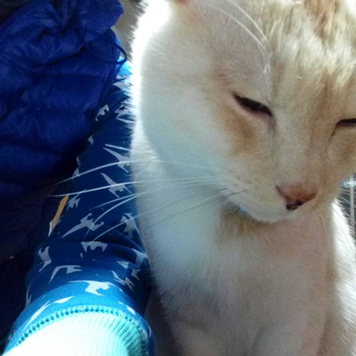 49ca8d9e d381 4e52 9e52 27738360cd3f