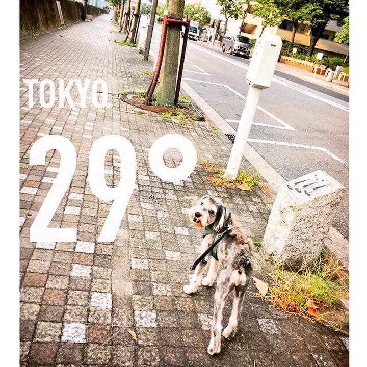 49caa52f ba9c 47d0 9972 1df685a0454b