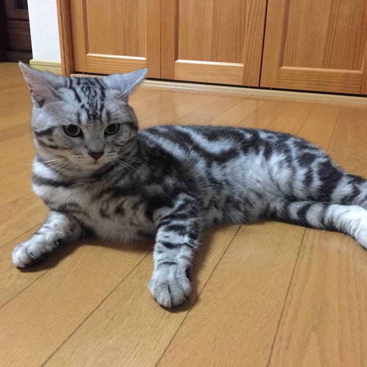 49caaf70 604f 4788 a218 682f046e534c