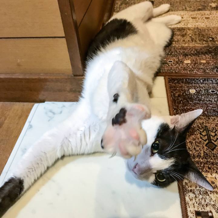 49cb1f43 6915 4ee6 ab1a 934c8466ceec