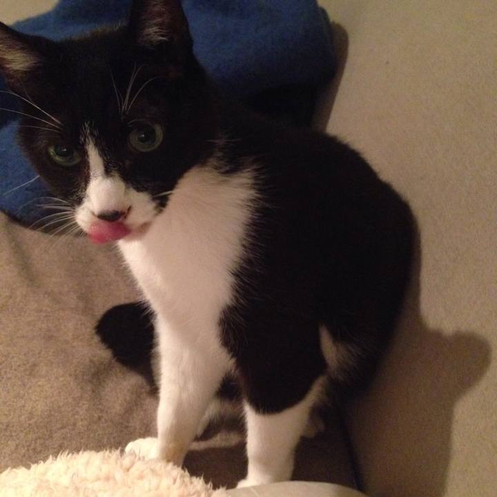 49cb7125 1289 4899 ace5 f88135ce7d64