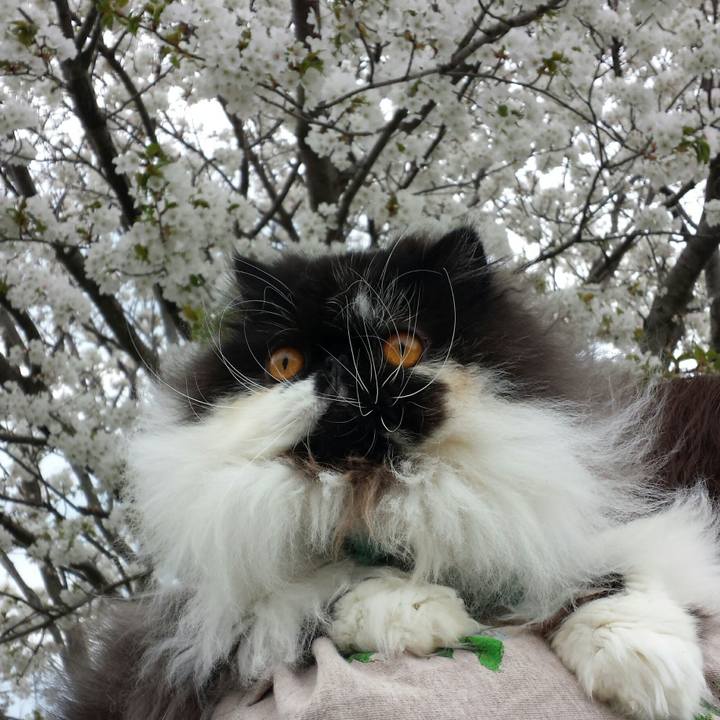 49cb75a2 8801 413f be8c 0ac7af3ffd10