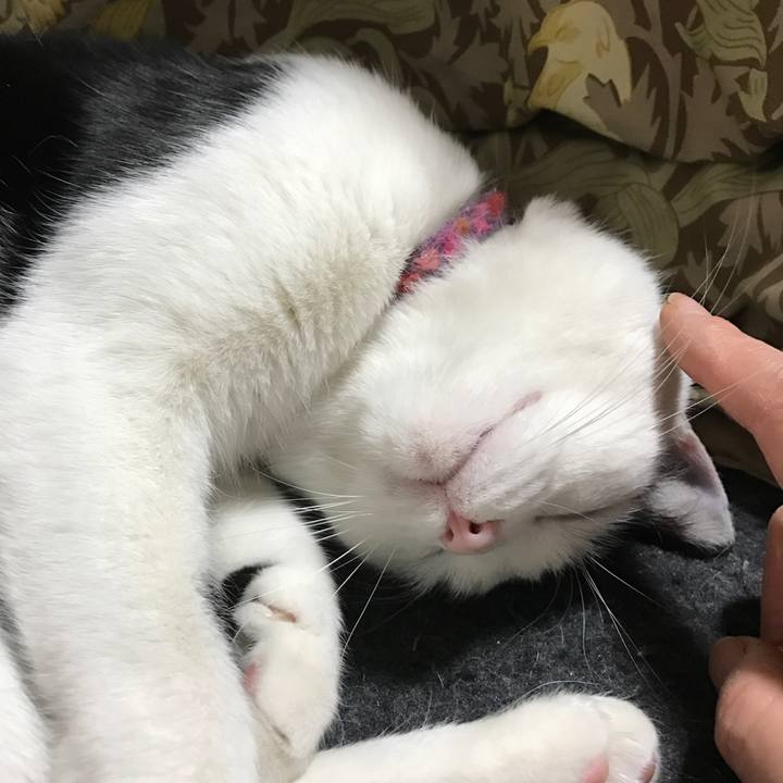 49cc23dd ff3b 4ad5 b060 1fc356c2cfba