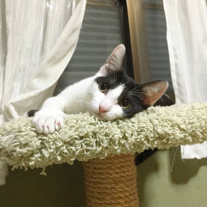 49ccd43c 78cd 4263 b784 9e7b1d2d2fa4