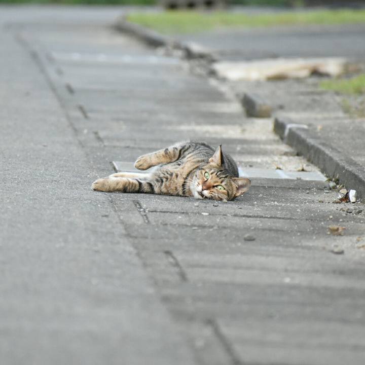 49cd2ec4 95bf 45cc ab2a 151ba6acf67c