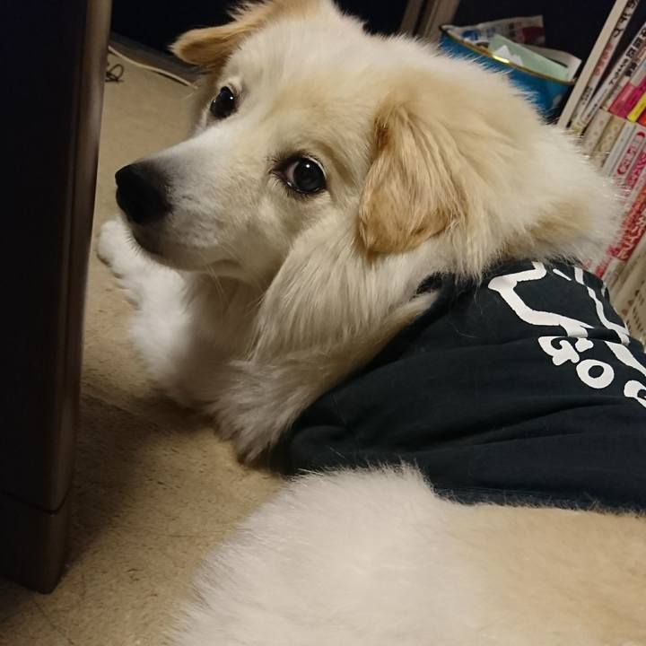 49cefb5d 75e6 49f6 aa8d 375cc73554b5