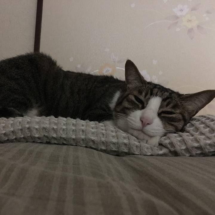 49cf3337 fcf0 46d0 aa3e ce27bca446e2