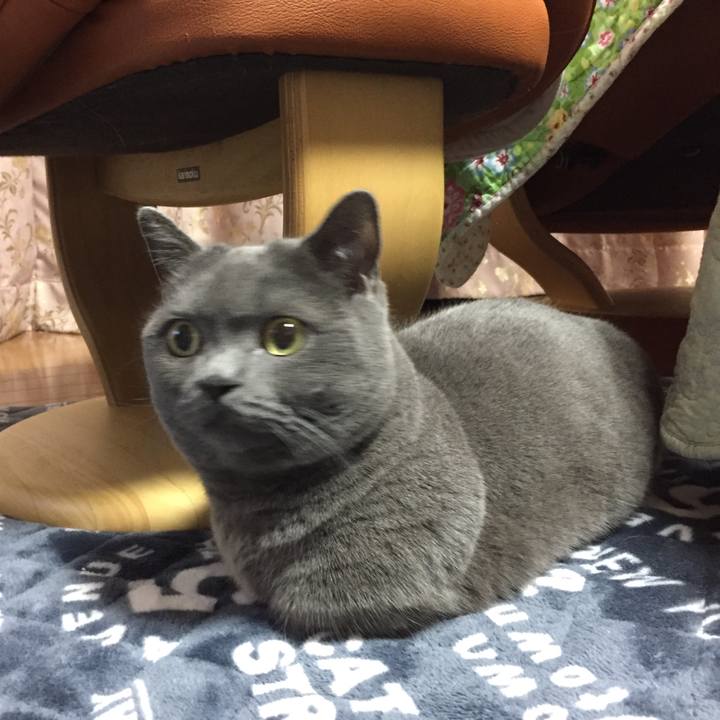 49d033a8 07b9 432b 8682 2e018a1f37da