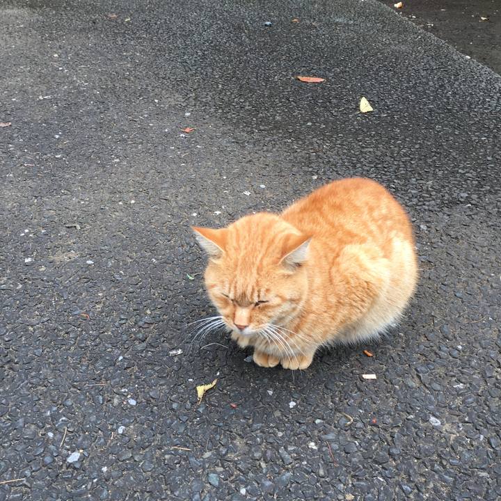 49d14386 5aed 4a75 b9df d1125748f78f