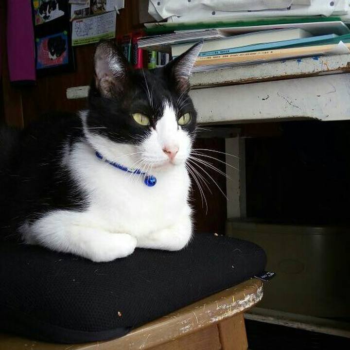 49d18582 c012 420a 8f65 e0d855f95f91