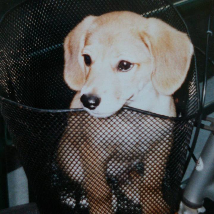 49d20997 d1af 4e86 a649 b450fb13bce6