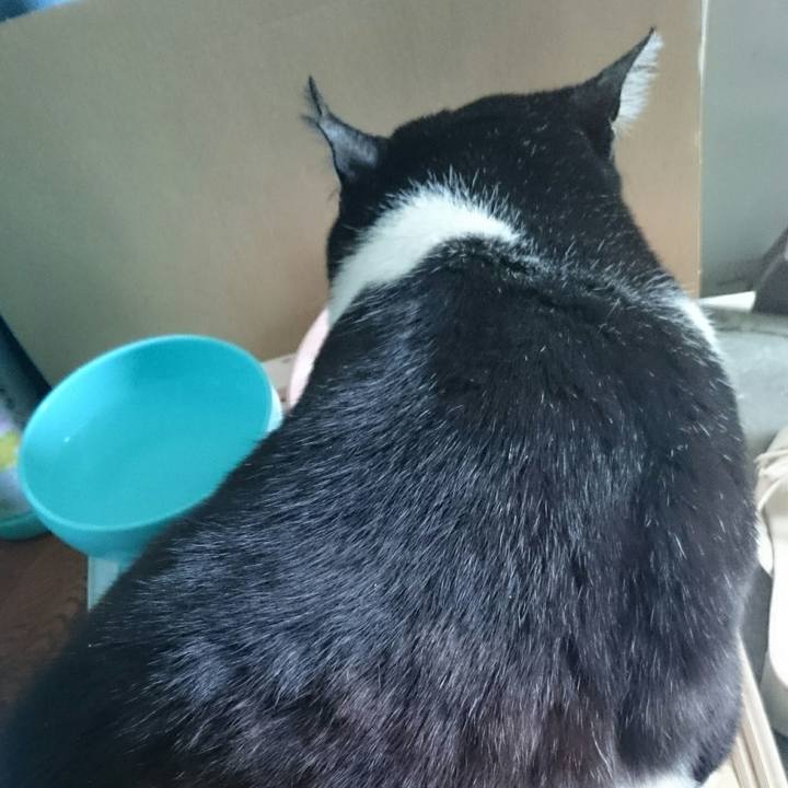 49d28b0c 6d79 4aae b305 d7b7193c3970