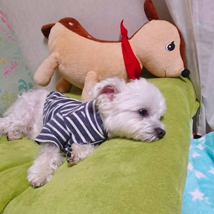 49d2d078 d970 4d91 98df 3a66887a5f63