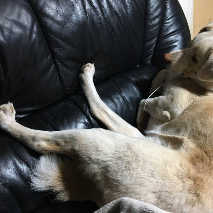 49d2d1ad 80c2 4eb8 924a d7b5ab983937