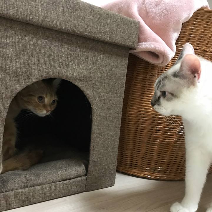 49d3a7f2 e521 4833 b20b 5d7f98ace046