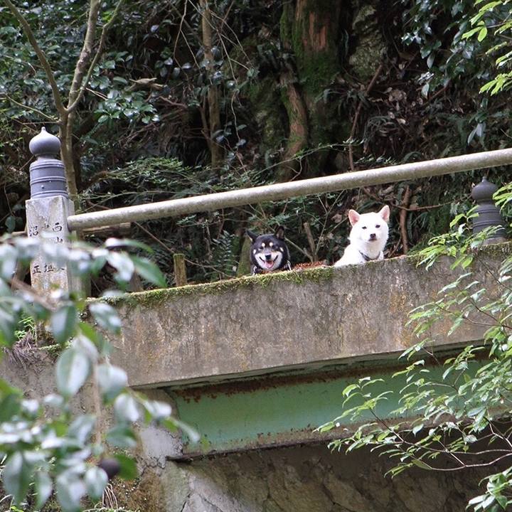 49d3a930 1e96 4065 b09d 02393430331f