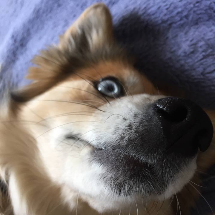 49d3aaef c8f3 4639 b380 f4dbadac2fb2