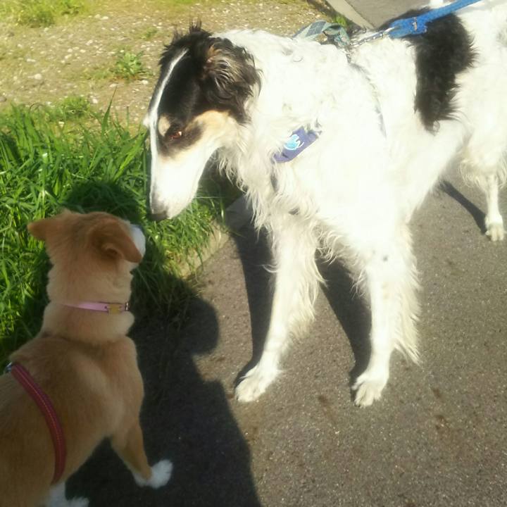 49d42d90 7d76 46fd a767 48208bfd7a8d