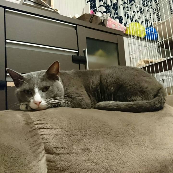 49d481ad 88a6 4ef4 9648 836e9c6bf964