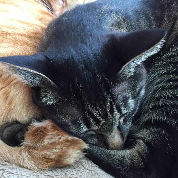 49d4feb2 8088 4702 8bb0 7edcaba6c3df