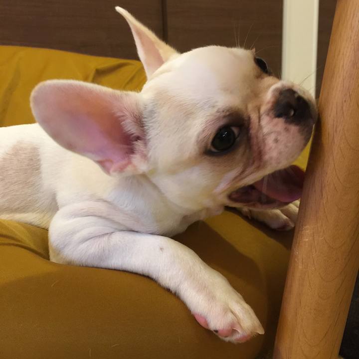 49d50e85 3ef3 4bf9 863a 6de6a9c518fa