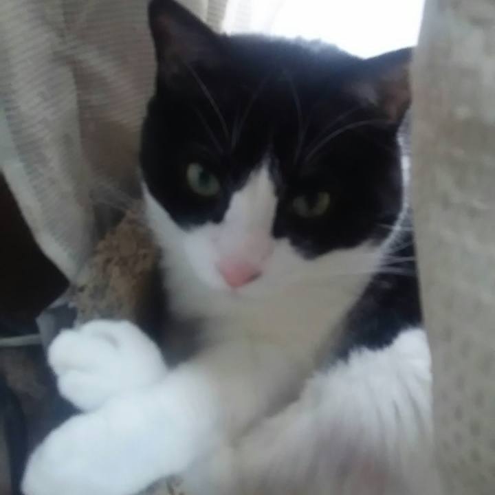 49d5a9b7 7d12 46ed 8ae5 32860d7de03c