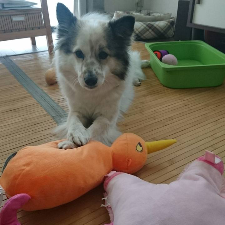 49d60614 6375 45e2 81e5 6164af498fb0