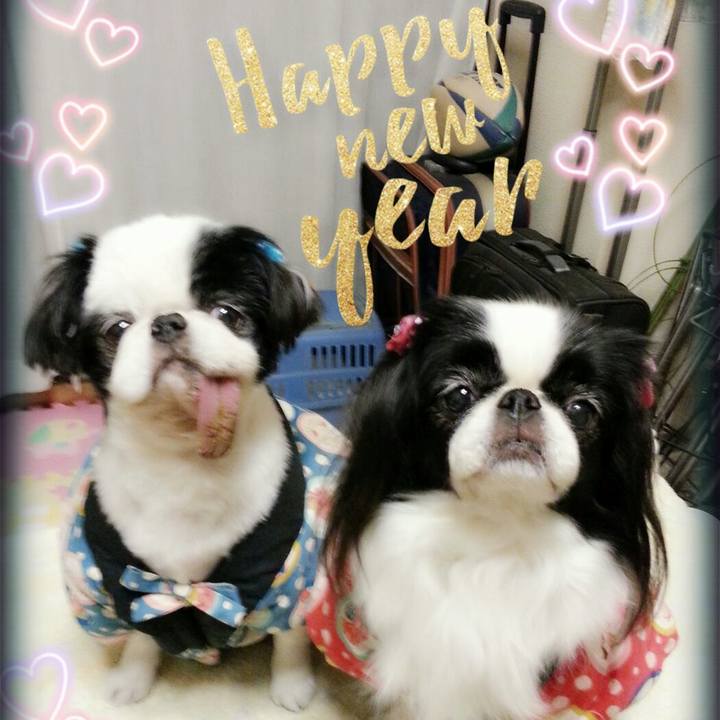 49d63423 43f4 4203 8a03 d27f345e5e3a