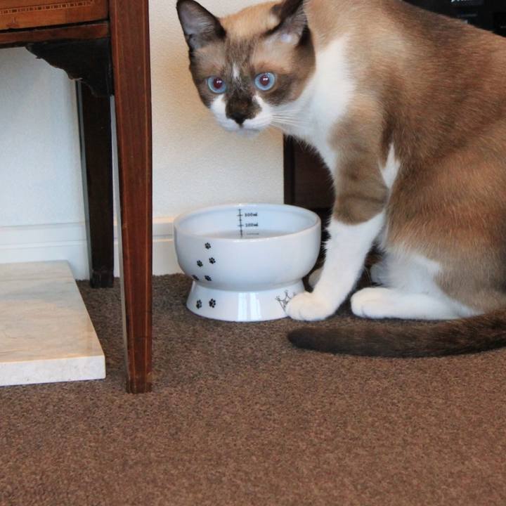 49d67b7e fd88 4ea8 8378 137d88945086