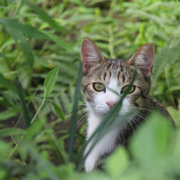 49d7291e 60f5 40df 83d0 1a1ce7aa37c6