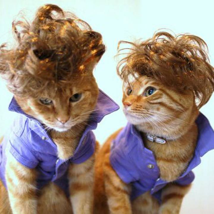 49d81399 fd4b 463f a02a 74d8a328b34d