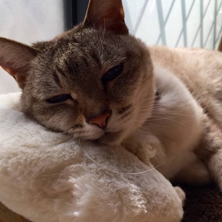 49d8a986 987b 4f09 9e43 e7b365292307