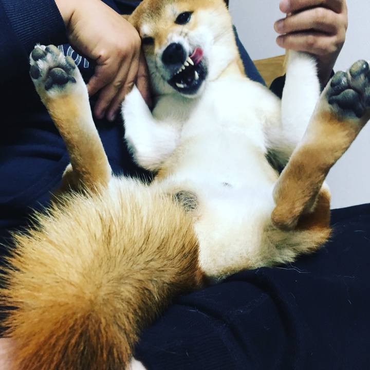 49d96d39 9282 4fa7 ae38 47731a355f72