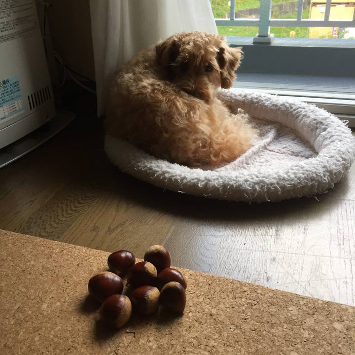 49d9f884 c342 4067 9eb0 4f5241a1d847