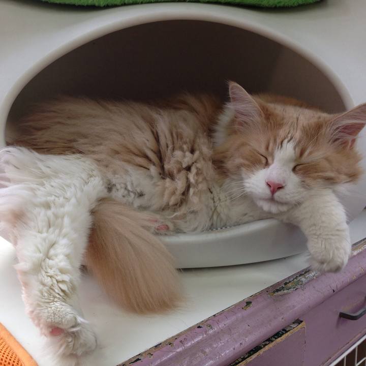 49daac91 ca14 4eb7 a976 40540f4b7b6f