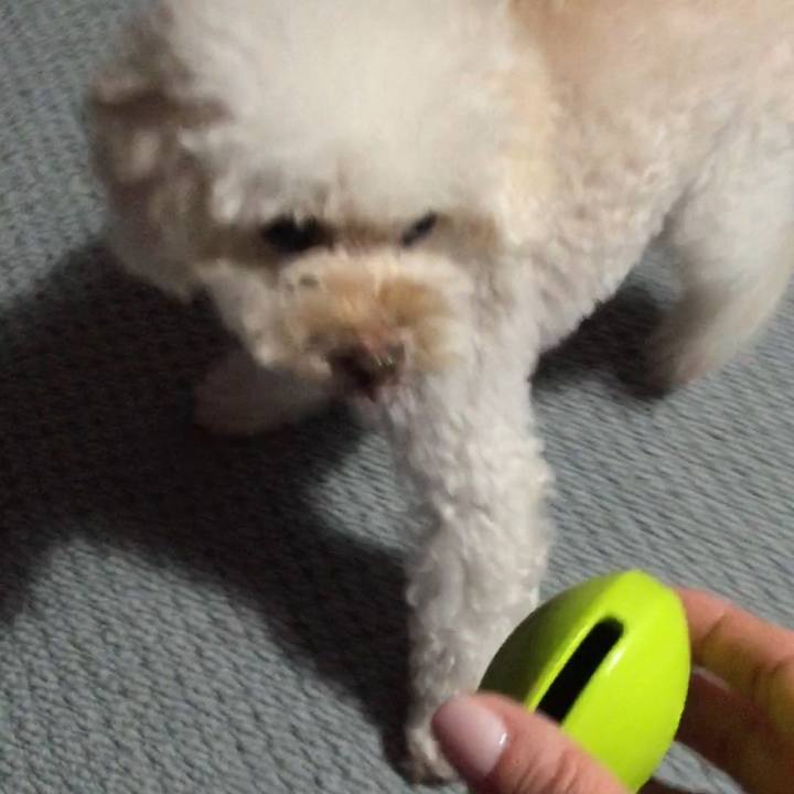 49dbe7f7 2aac 4062 99cc 6630604f041e