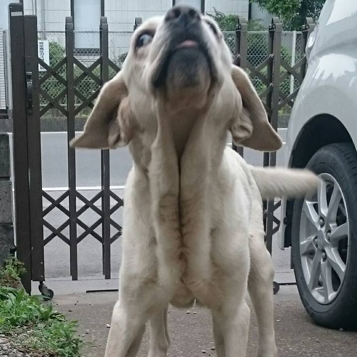 49dbf891 8be0 42d5 8c65 812a483e0d84