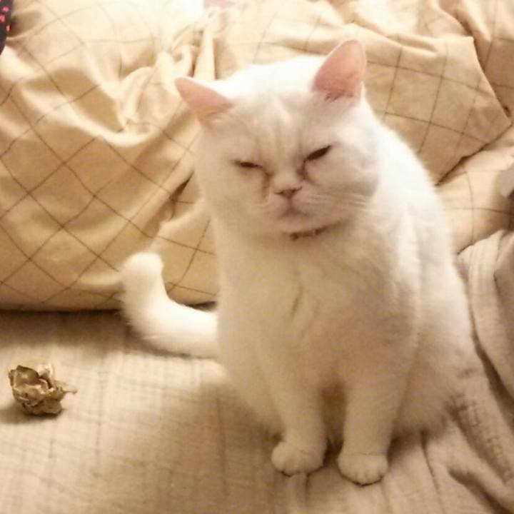 49dc70aa aba4 4f39 a174 bd6b34a1278f