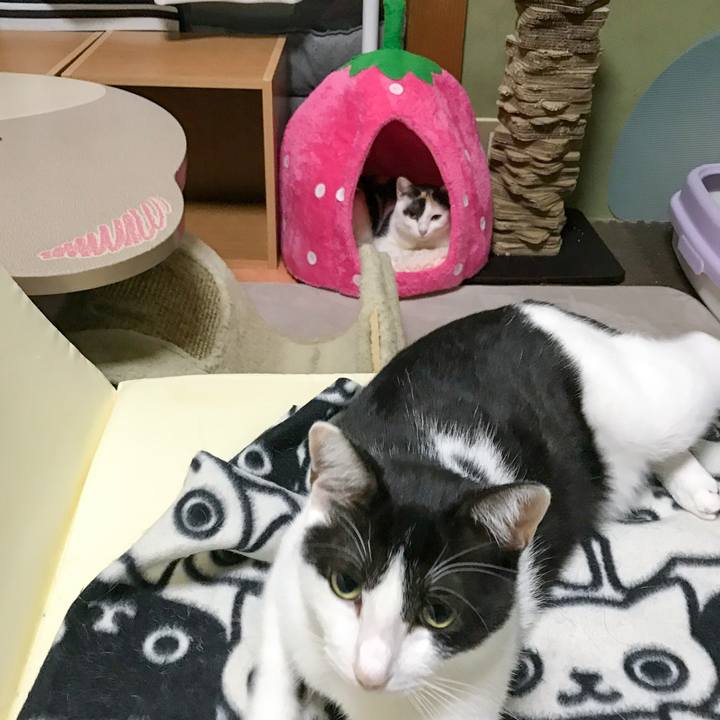 49dca195 e274 4c0e 9c98 6c497640422a