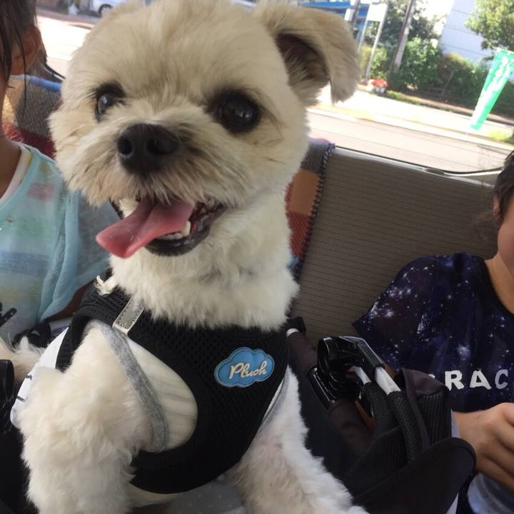 49dd0492 8362 4f0f a238 c4344d4d9bf8